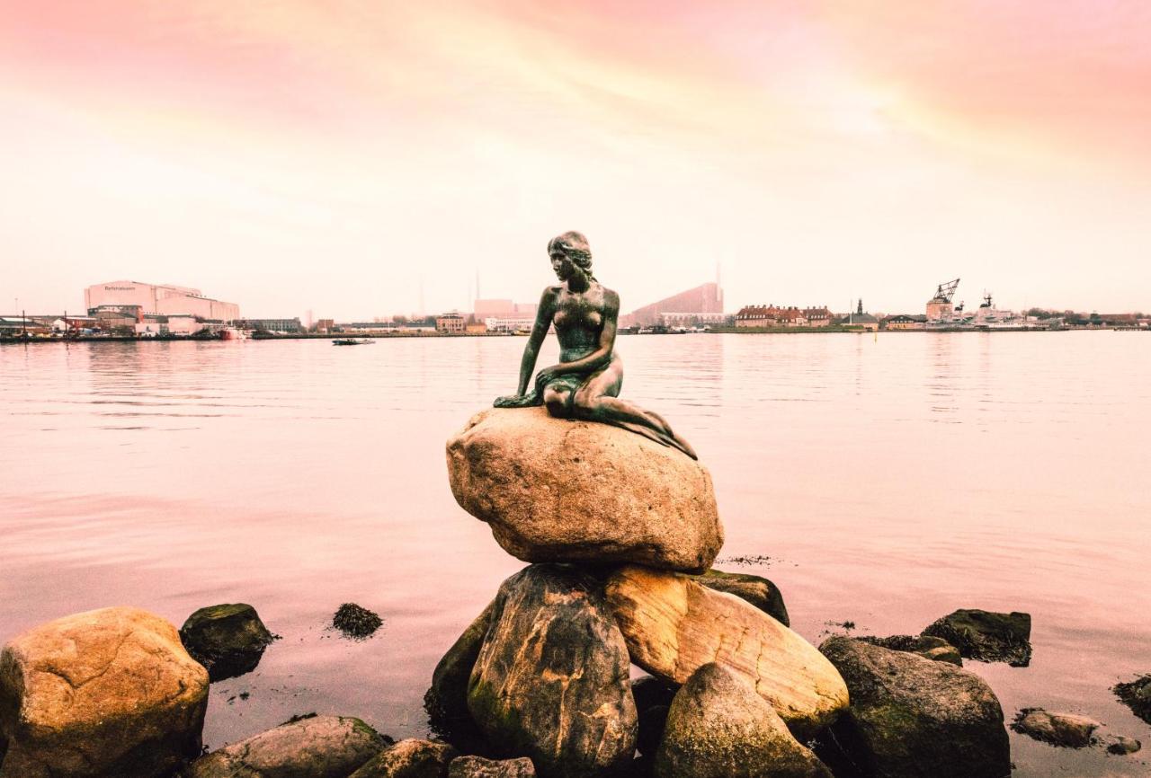 Apartment Elegant, Evocative And Cosy In Osterbro With A Panoramic View. Eco-friendly. 1km Harbour/ Beach, 3km- Center, 13km-airport. Copenhagen
